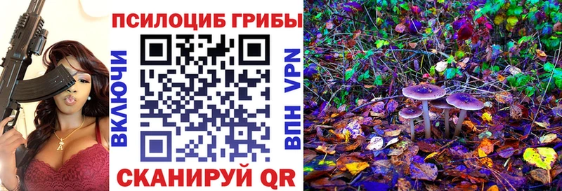 Галлюциногенные грибы Cubensis  Усинск 